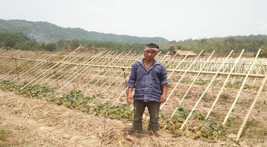 A farmer stands in his field where cucumber crop has failed due to drought like condition at Kinunger village under Mokokchung district.
